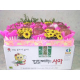 I.P.M친환경 아이사과10Kg32과전후/껍질째먹는사과