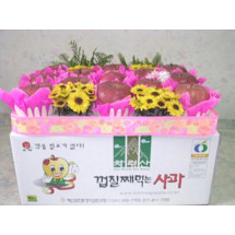I.P.M친환경 아이사과10Kg32과전후/껍질째먹는사과